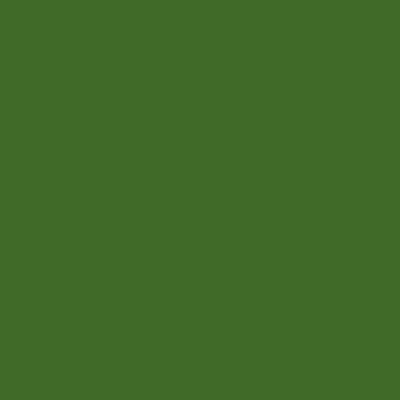 BS381-225 Light Brunswick Green Aerosol Paint